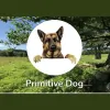 Primitive Dog