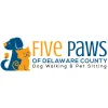Five Paws