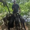 Happy Tails