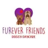 Furever Friends Doggy Daycare