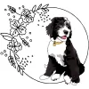 4 Paws Pet Care