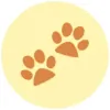Paws for Comfort