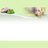 Creekside Kennels