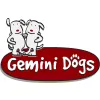 Gemini Dogs
