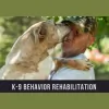 K-9 Behavior Rehabilitation