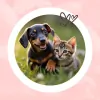 Petland Henderson