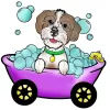 Fetch Dog Spa