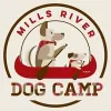 Mills River Dog Camp