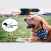 Healthy and Happy Dog Walking