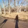 Have Leash Will Travel