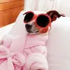 Orlando Mobile Dog Grooming