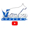 Valor K9 Academy