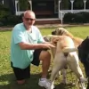 Barry's Dogs