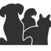 K-Lo's K9s Dog Walking & Pet Care Service