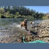Warner K9