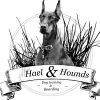 Hael & Hounds