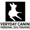 Everyday Canine