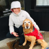 Rainy Day Pet Care