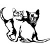 The Cats Meow