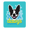Daisy's Pet Grooming