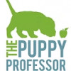 The Puppy Professor